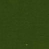 Image Vert olive 813 gouache Sennelier